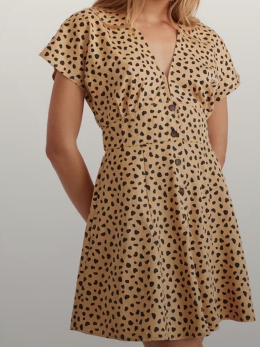 Marine Layer Camila Tan Leopard Print V-Neck Mini Dress